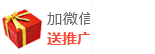 加微信·送网站
